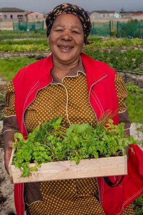 Community gardens South Africa