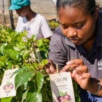 defynne nusery stellenbosch