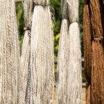 South African wool farming