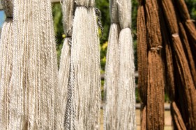 South African wool farming