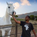 Horse breeding South Africa