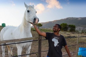 Horse breeding South Africa