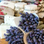 Lavender farming South Africa