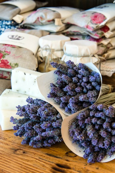 Lavender farming South Africa