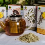 Olive farming South Africa