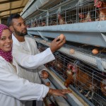 Agriculture Photography