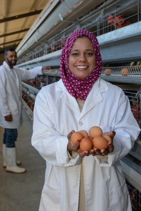 Agriculture Photography