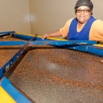 Cape Honeybush Tea packaging