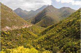 location scout garden route