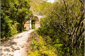 location scout garden route