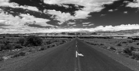 Landscape photographer garden route