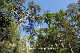 Location scouting photographer