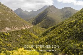 Garden Route South Africa George