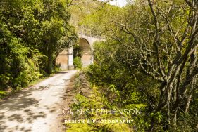 Montagu Pass George Garden Route South Africa