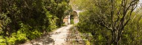 Montagu Pass George Garden Route South Africa