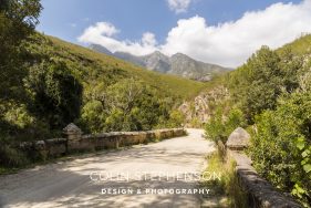 George Garden Route South Africa