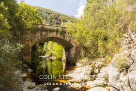 George Garden Route South Africa