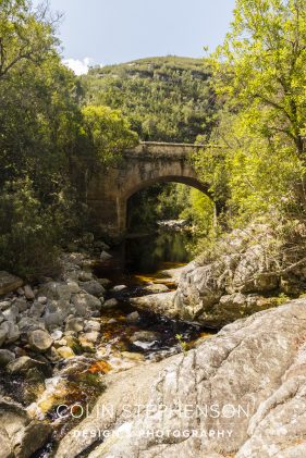 George Garden Route South Africa