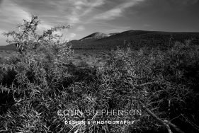 Landscape Photographer South Africa