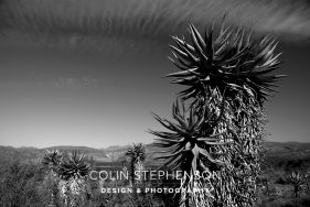 Landscape Photographer South Africa