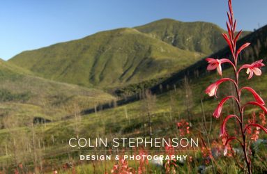 Landscape Photographer South Africa