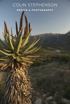 Landscape Photographer South Africa