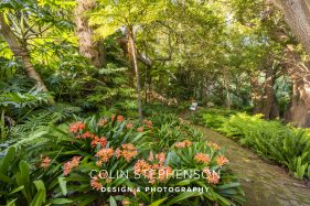 Lifestyle Hotel Photography