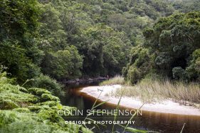 Nature Photographer Garden Route
