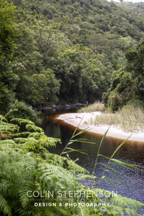 Nature Photographer Garden Route