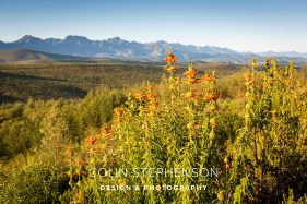 Photography Trip Knysna