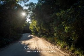 Wedding Photographer Knysna