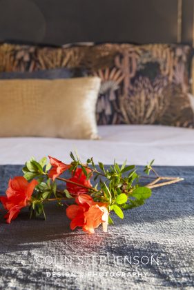 AirBnB photographer Knysna