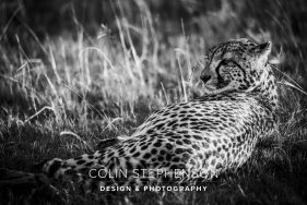 Environmental photography South Africa