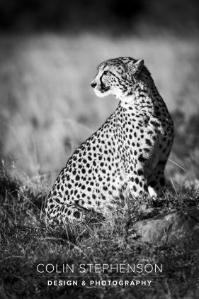 Environmental photography South Africa