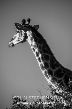 Environmental photography South Africa