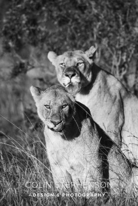 Environmental photography South Africa