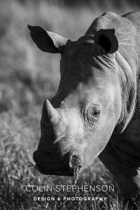 Environmental photography South Africa