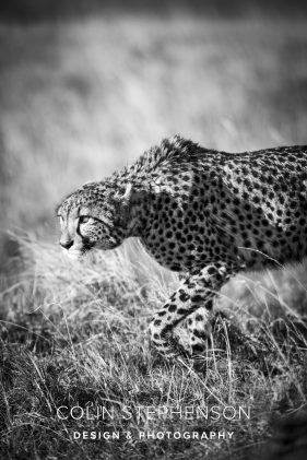 Environmental photography South Africa