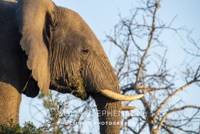 Environmental photography South Africa