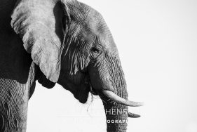 Environmental photography South Africa