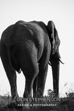 Environmental photography South Africa