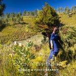 Industrial Photographer South Africa