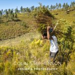 Industrial Photographer South Africa