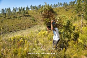 Industrial Photographer South Africa