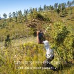 Industrial Photographer South Africa