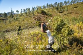 Industrial Photographer South Africa