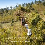 Industrial Photographer South Africa