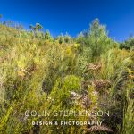 Industrial Photographer South Africa