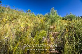 Industrial Photographer South Africa