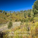 Industrial Photographer South Africa